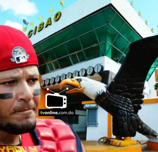 Yadier Molina sería el nuevo mánager de las Águilas Cibaeñas